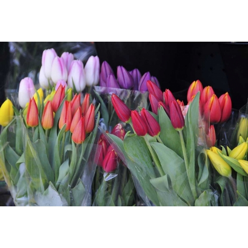 OR, Portland Bouquets of spring tulips for sale